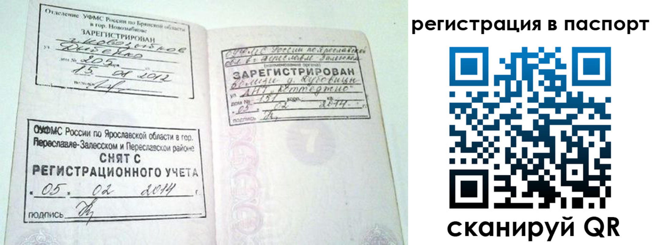 прописка в квартире в Гатчине